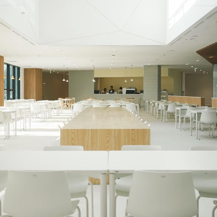 School choices for expat families in Utrecht, Netherlands